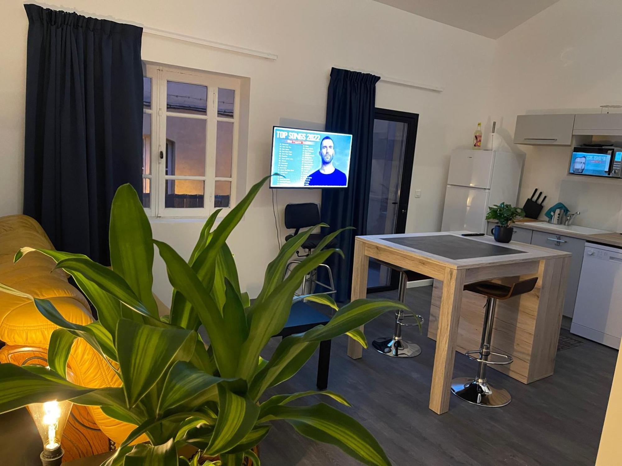 La Roue Des Teinturiers Apartamento Avinhão Exterior foto
